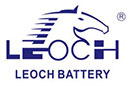 Leoch Battery